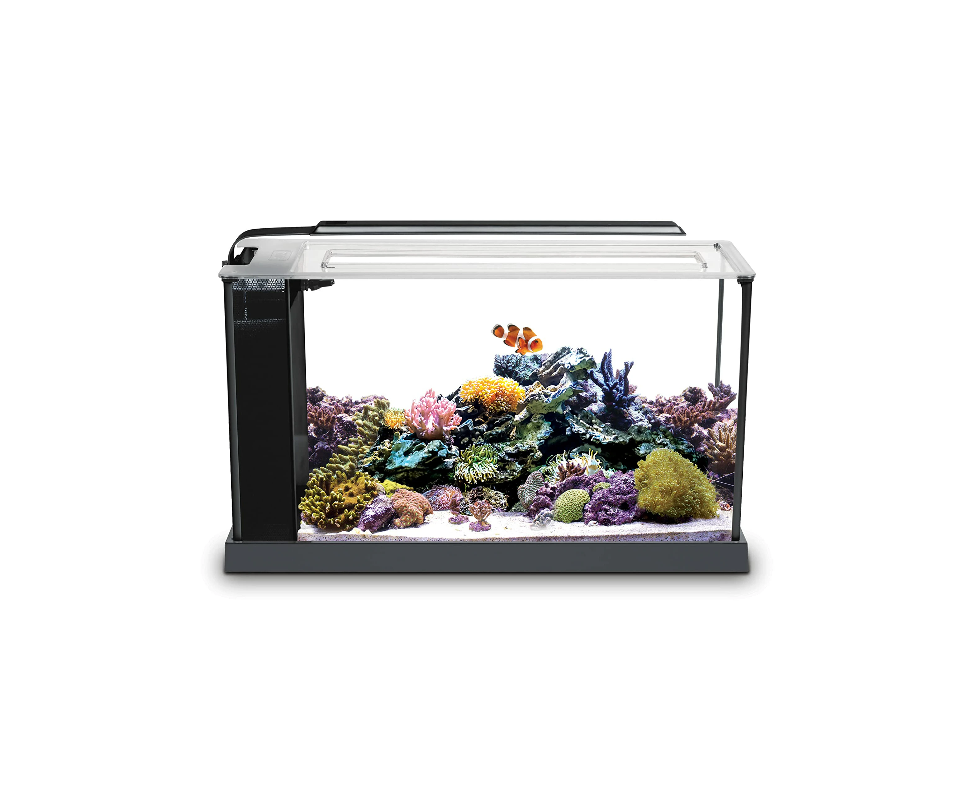 Fluval Sea Evo V Saltwater Fish Tank Aquarium Kit, Black, 5 gal, 10528A1