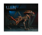 Neca Aliens Fireteam Elite Prowler 7'' Scale Action Figure Collectible Toy 17+