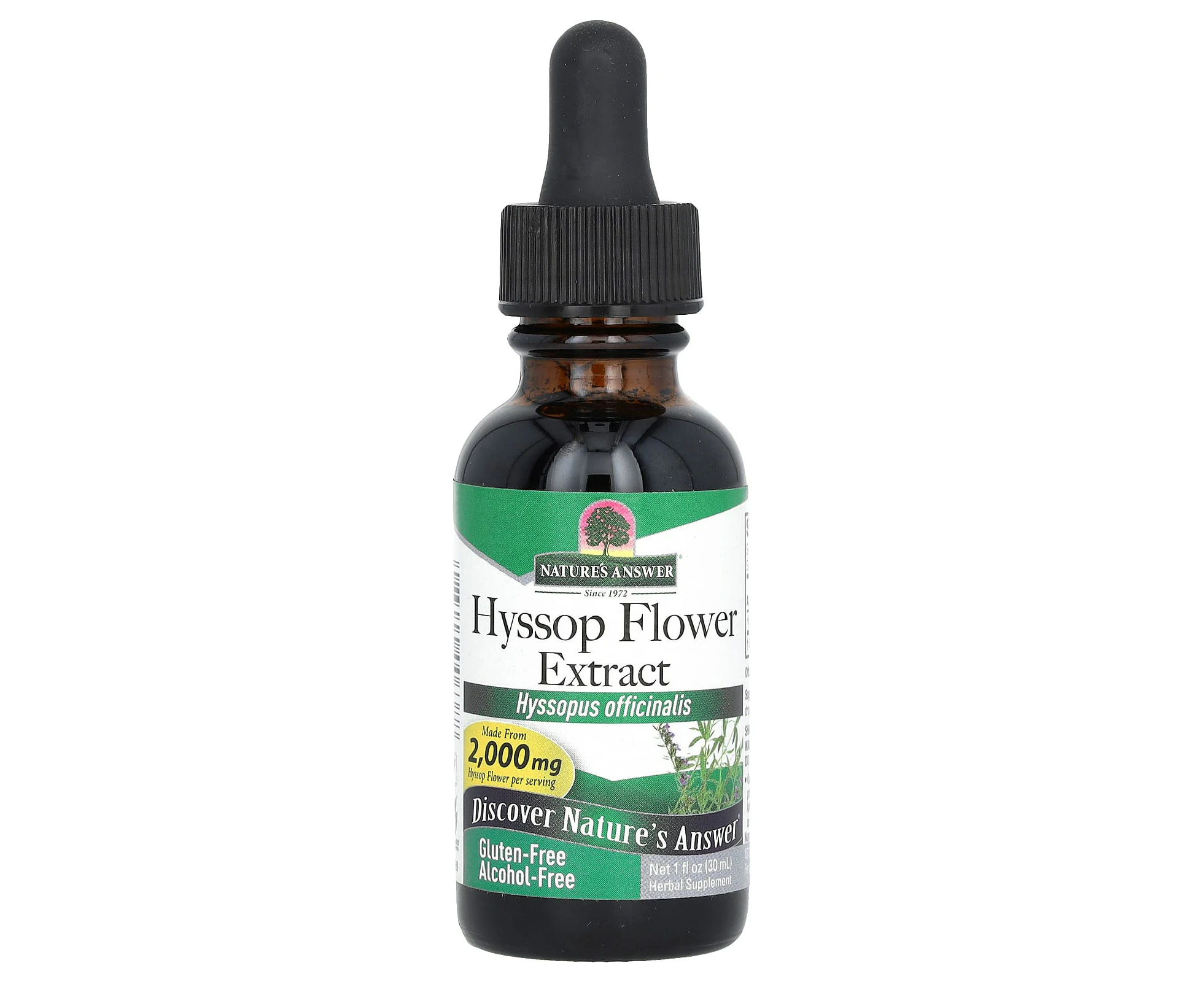 Nature's Answer, Hyssop Flower Extract, Alcohol-Free, 2,000 mg , 1 fl oz (30 ml)