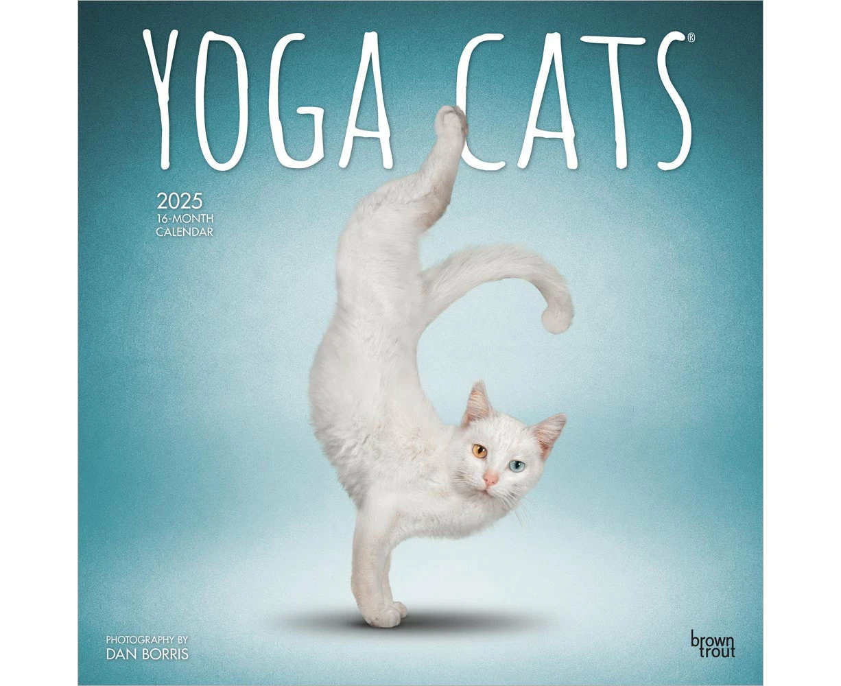 2025 Yoga Cats Wall Calendar