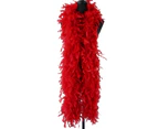 2 Meter Plush Turkey Feather Boa Soft Dyed Fur Feather Trim Stripe for Diy - Red