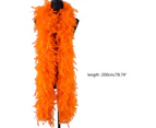 2 Meter Plush Turkey Feather Boa Soft Dyed Fur Feather Trim Stripe for Diy - Red