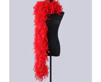 2 Meter Plush Turkey Feather Boa Soft Dyed Fur Feather Trim Stripe for Diy - Red