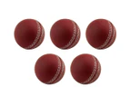 Sports Cricket, Training Cricket, Sports Wind Swing Rebound Spin Cricket, Elastic Decompression Ball Brown