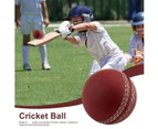 Sports Cricket, Training Cricket, Sports Wind Swing Rebound Spin Cricket, Elastic Decompression Ball Brown