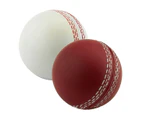 Sports Cricket, Training Cricket, Sports Wind Swing Rebound Spin Cricket, Elastic Decompression Ball Brown