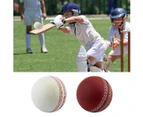 Sports Cricket, Training Cricket, Sports Wind Swing Rebound Spin Cricket, Elastic Decompression Ball Brown