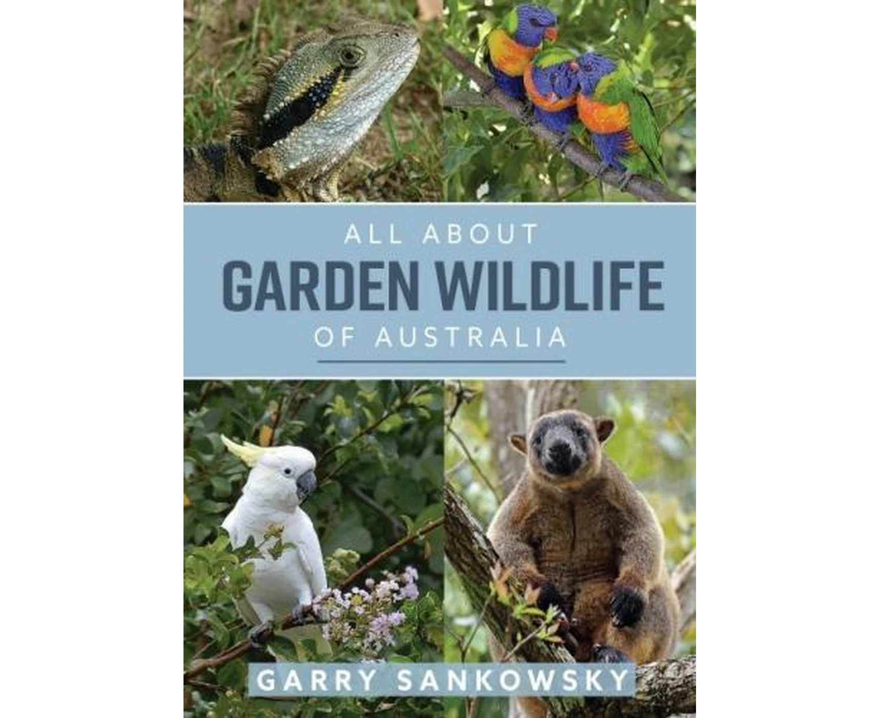 All About Garden Wildlife of Australia