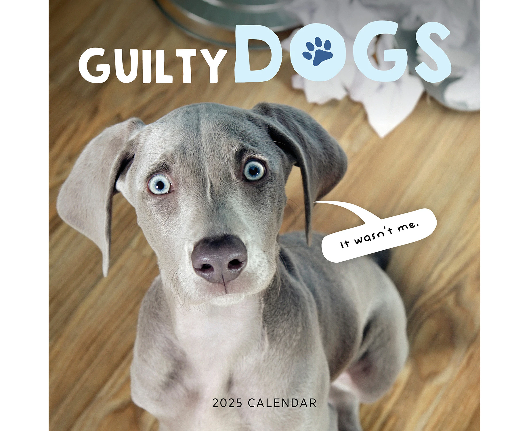 2025 Calendar Guilty Dogs Square Wall Paper Pocket CAB36