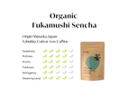 Teafy Organic Fukamushi Sencha, Japanese Green Tea, JAS and USDA Certified Organic Loose Leaf Steamed Tea 100g