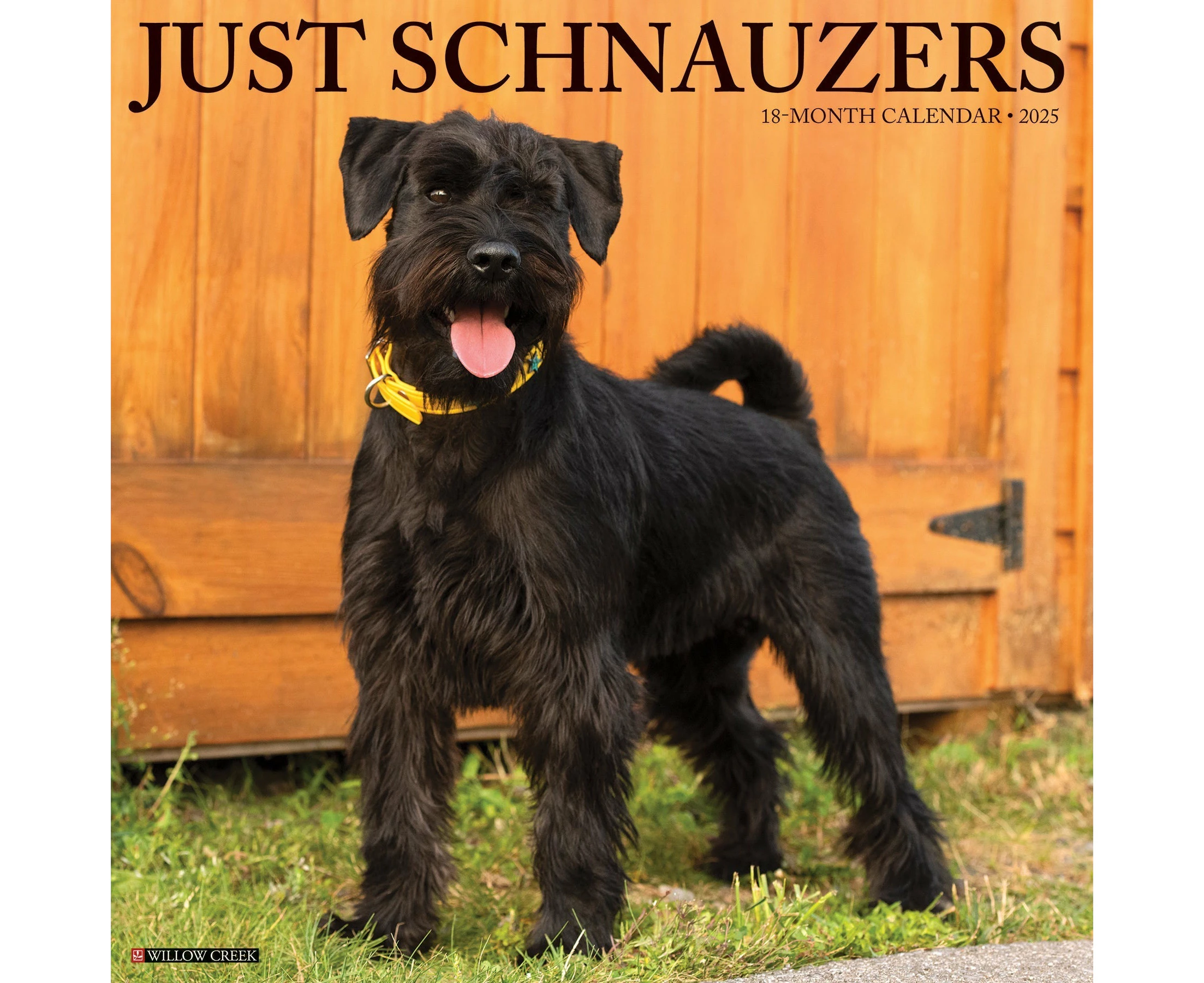 2025 Schnauzers - Square Wall Calendar