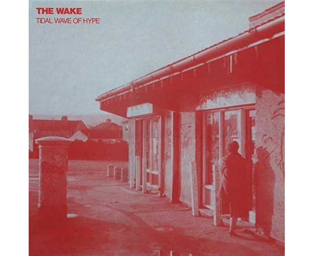 The Wake - Tidal Wave of Hype  [COMPACT DISCS] USA import