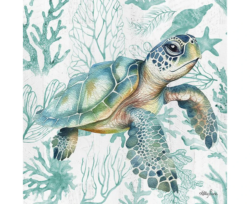 Kelly Lane | Coastal Turtle Canvas - 20x20cm