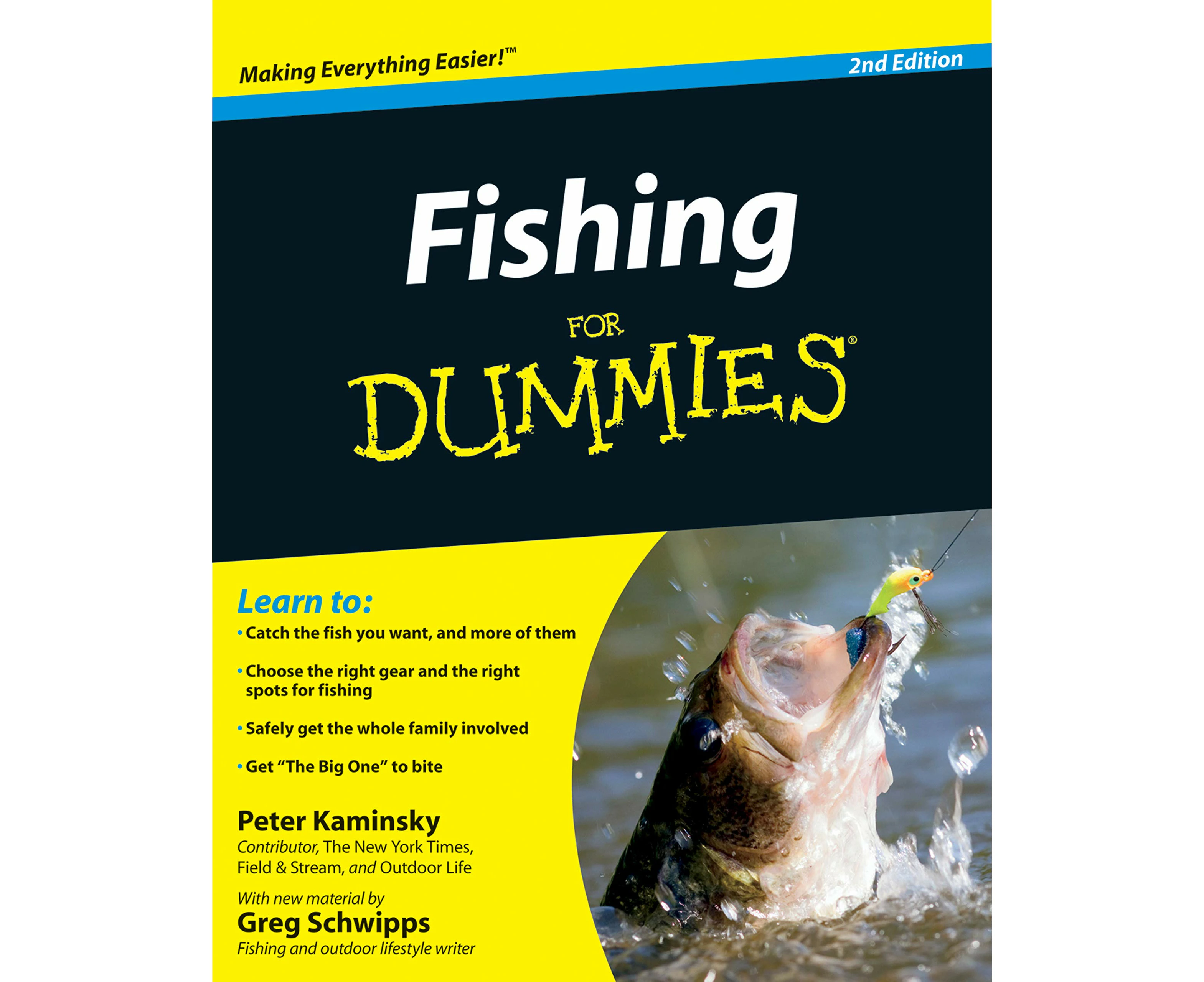 Fishing for Dummies