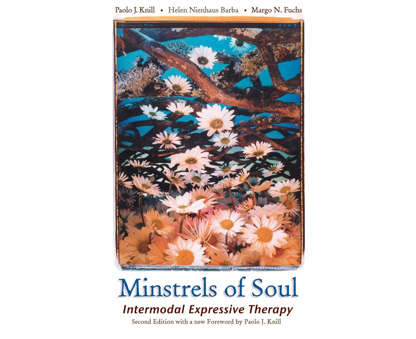 Minstrels of Soul: Intermodal Expressive Therapy