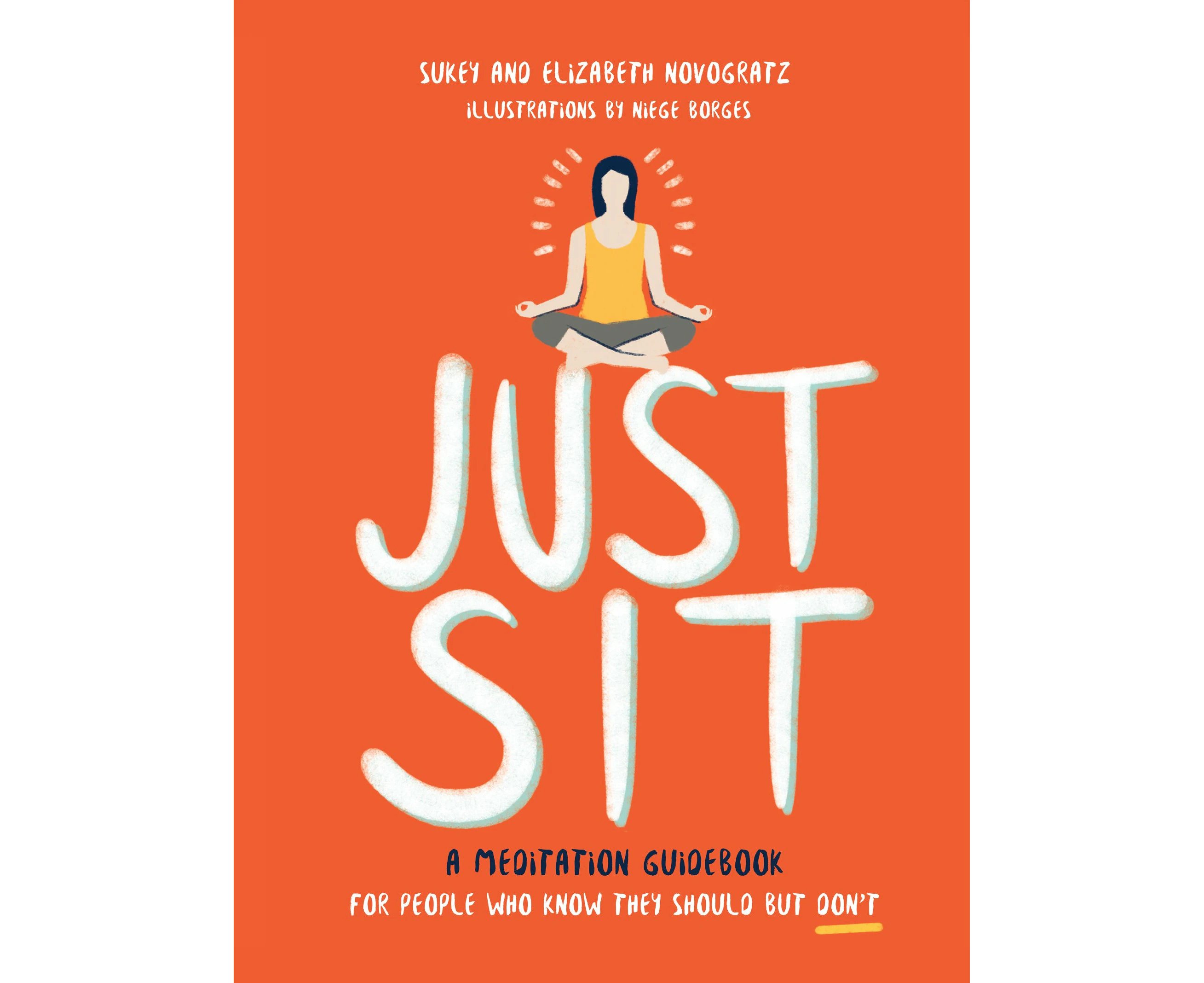 Just Sit: A Meditation Guidebook for People Who Know They Should But Don't