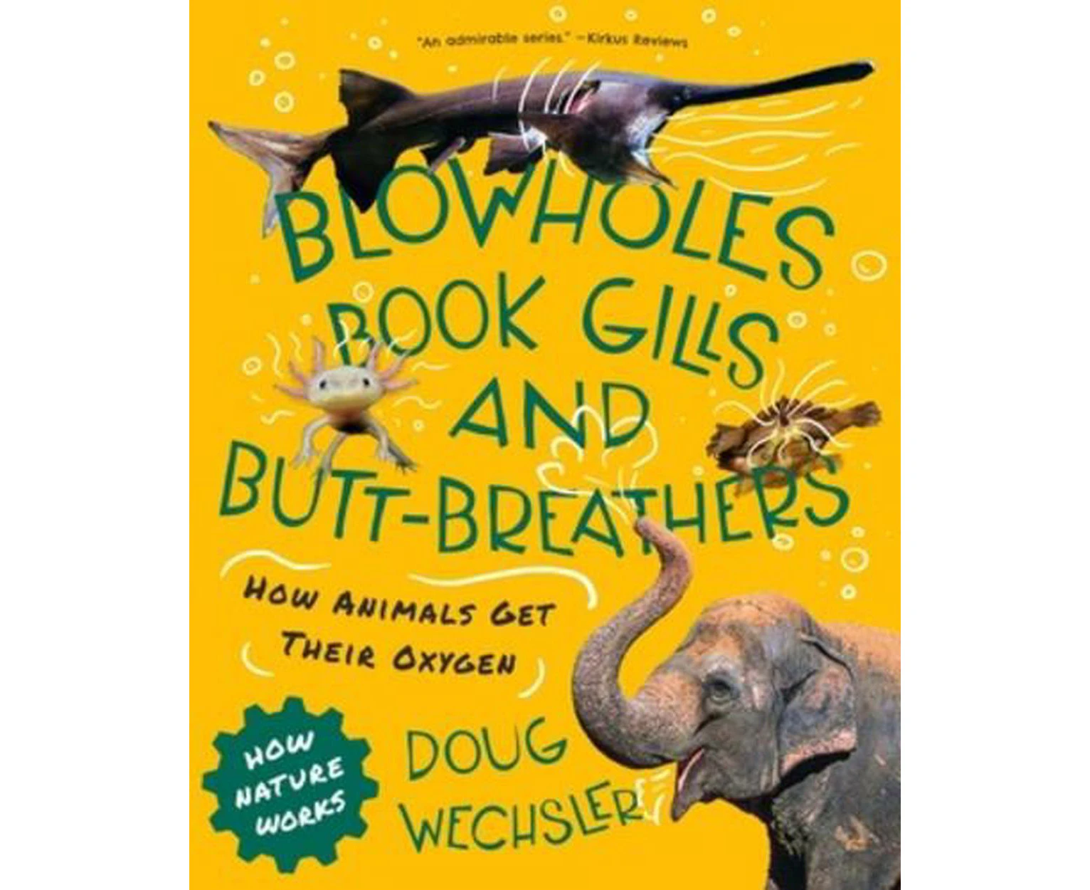 Blowholes, Book Gills, and Butt-Breathers