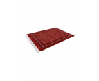 Afghan Rug 5671-Red