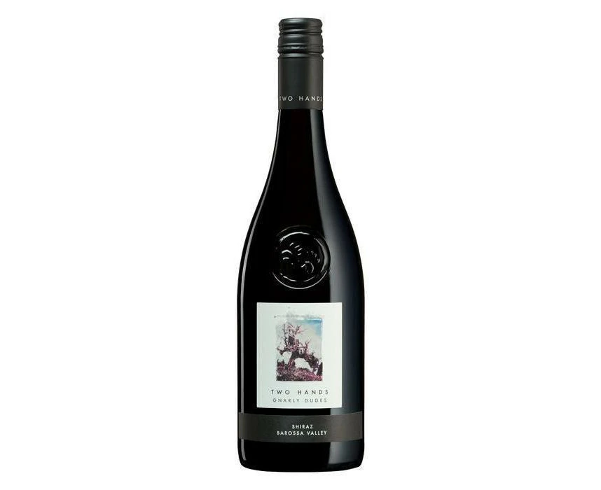 Two Hands Gnarly Dudes Shiraz 750ml