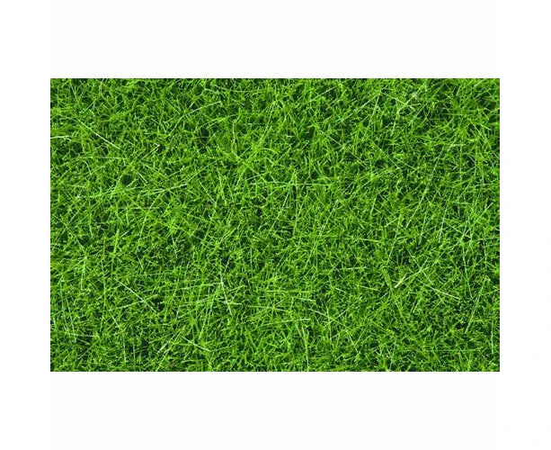 Noch Scatter Wild Grass Dark Green 100g