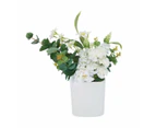 Artificial White Flowers in Vase - Anko