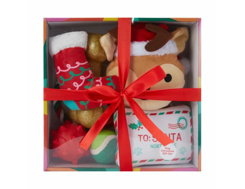 Dog Christmas Toy Box - Anko