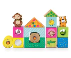 Early Learning Centre Wooden Activity Blocks Playset