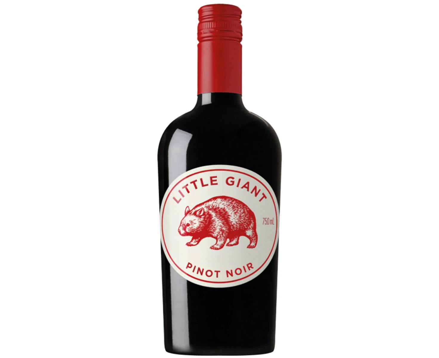 Little Giant Pinot Noir 2023 750ml