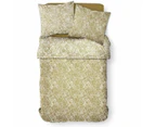 TODAY Duvet Cover Set, Cotton, Brown, Jumeau