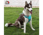 Blue XXL Dog Harness Vest