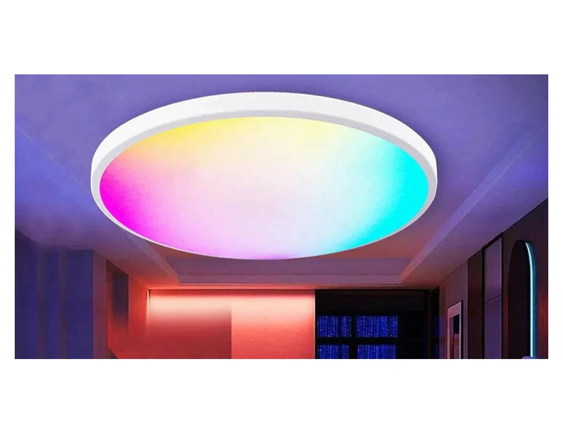 Round Smart Ceiling Light