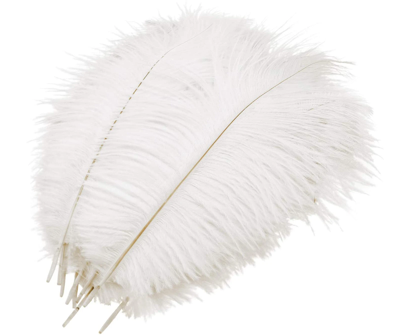 10 Pcs Natural Ostrich Feathers, Ostrich Feather Plume For Wedding Party Festival Table Centerpiece Decoration (White)