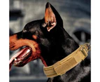 Adjustable Dog Collar Comfortable Breathable Pet Dog Collar with Metal Buckle And D Ring for Training Medium Large Dogs Khaki,M