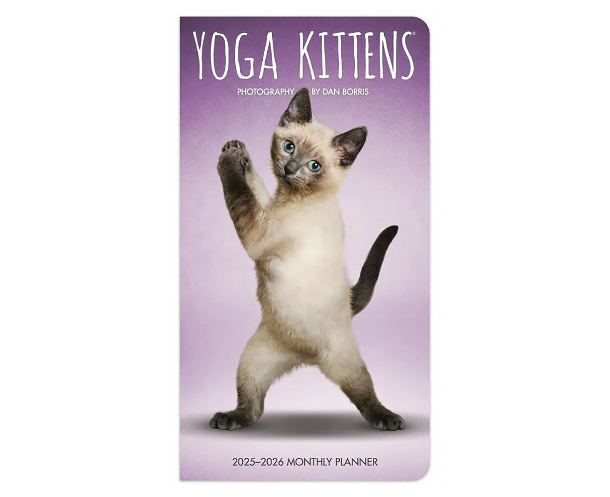 2025-2026 2-Year Planner Yoga Kittens Month to View Browntrout BT79596