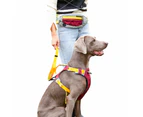 Hands Free Pet Dog Leash with Waist Bag for Running Walking Training Hiking -Yellow