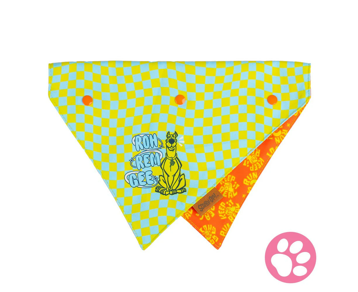 Scooby Doo - Mystery Inc. Checkered Pet Bandana - Medium/Large