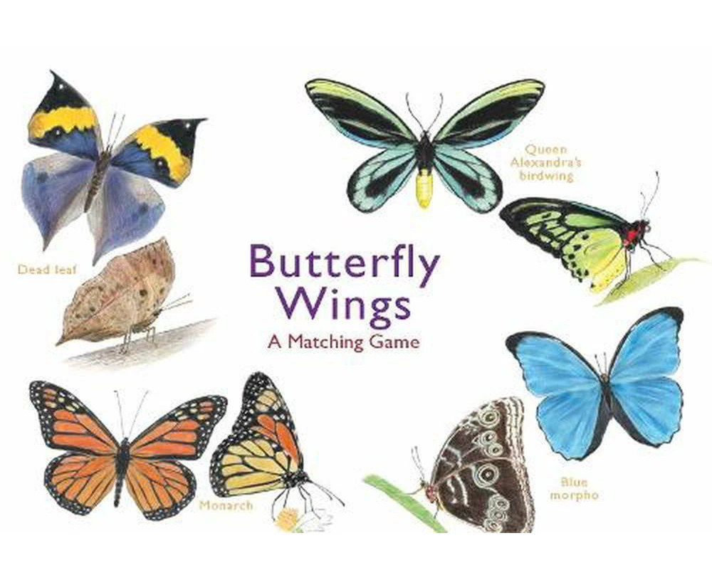 Butterfly Wings: A Matching Game