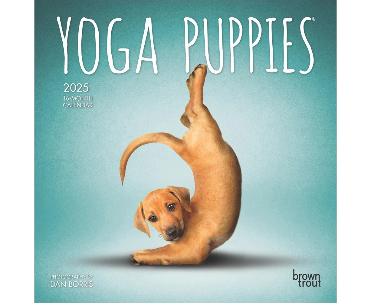 2025 Calendar Yoga Puppies 16-Month Mini Wall Browntrout BT79565