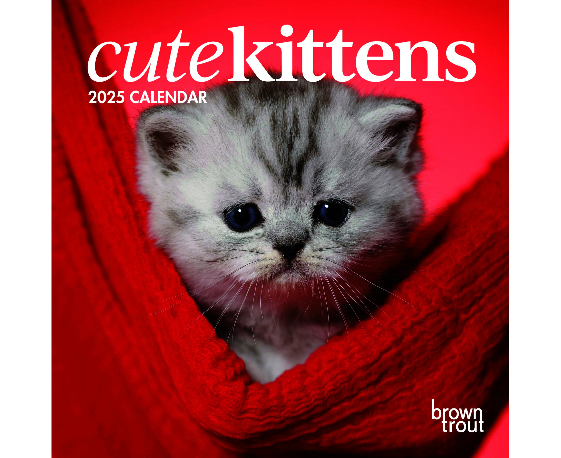 2025 Calendar Cute Kittens Mini Wall Browntrout A04084