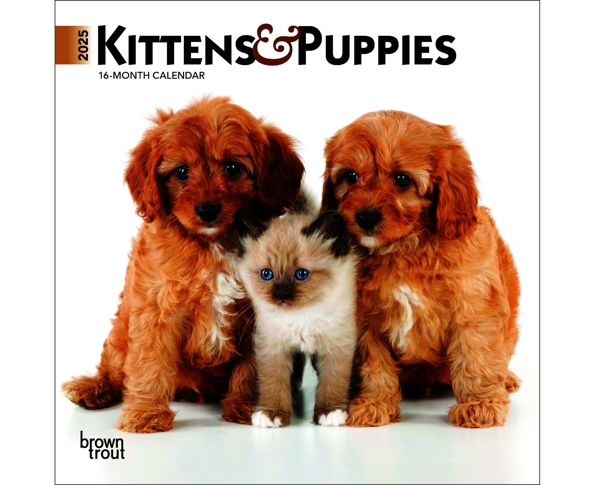 2025 Calendar Kittens & Puppies 16-Month Mini Wall Browntrout BT73709