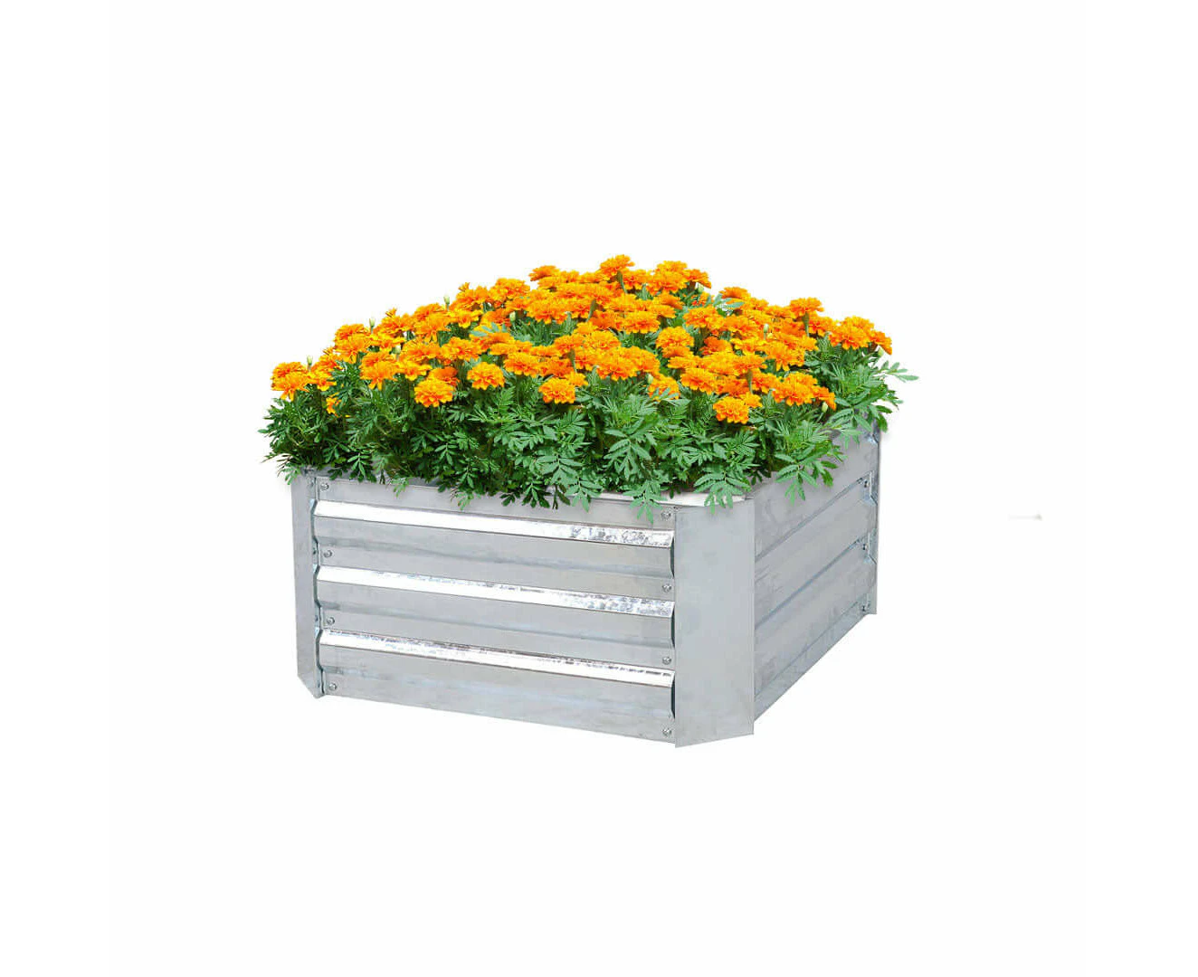 Soga 60cm Square Galvanised Raised Garden Bed Vegetable Herb Flower Outdoor Planter Box