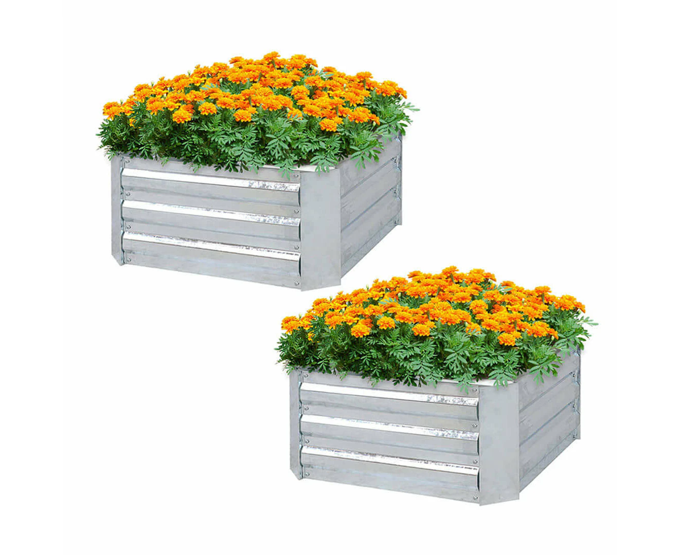 Soga 2x 60cm Square Galvanised Raised Garden Bed Vegetable Herb Flower Outdoor Planter Box