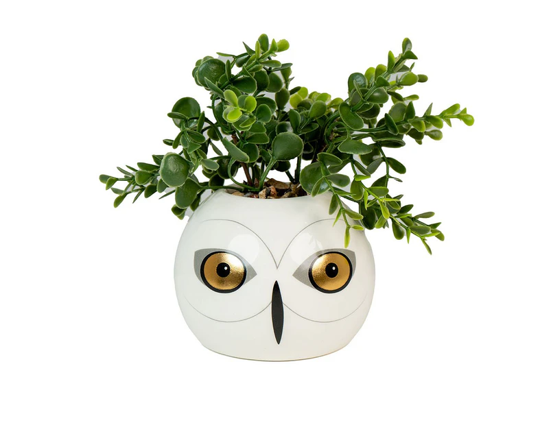 Harry Potter - Hedwig Planter