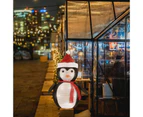 30x70cm Lighted Penguin 40-LED Lighted, Battery Operated Lawn Decoration  Christmas Decorations Indoor Outdoor