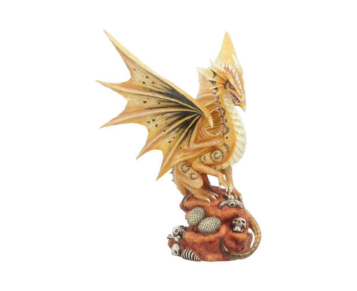 Adult Desert Dragon 24.5cm