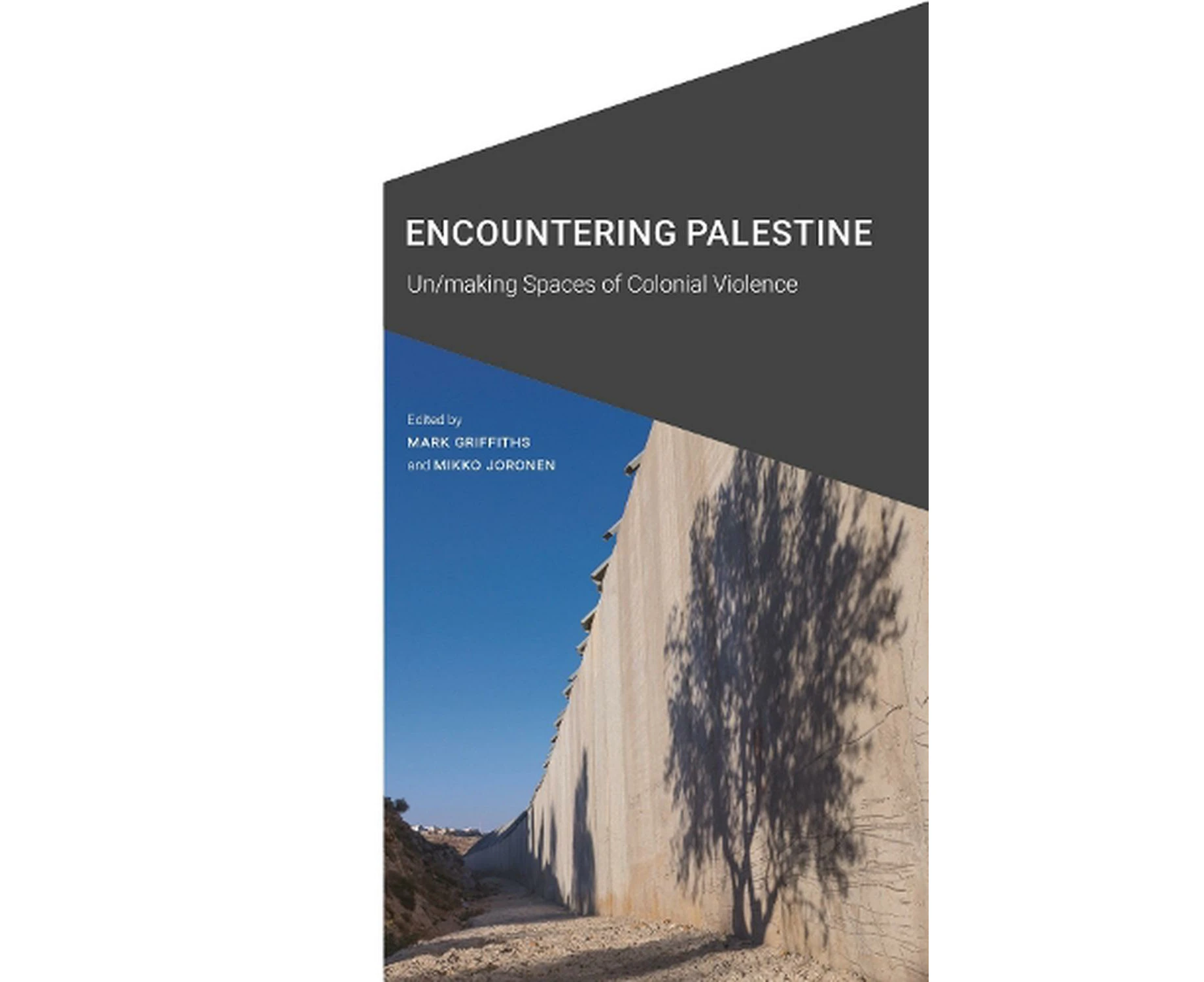 Encountering Palestine