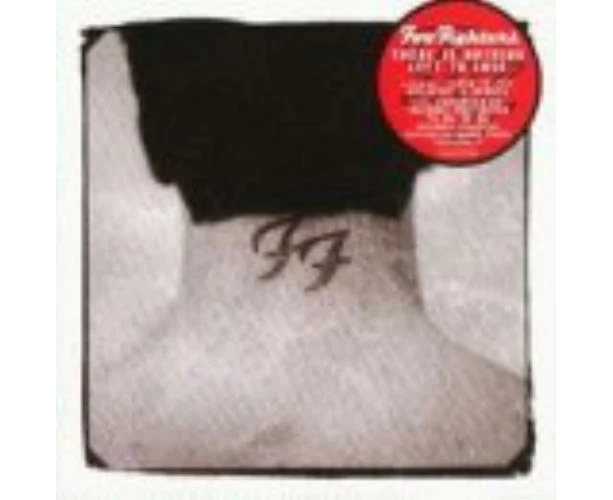 Foo Fighters : There Is Nothing Left.. Cd Pre-owned