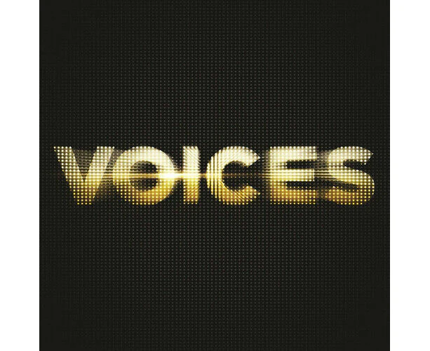 Various Artists : Voices Cd 2 Discs (2015) Pre-owned