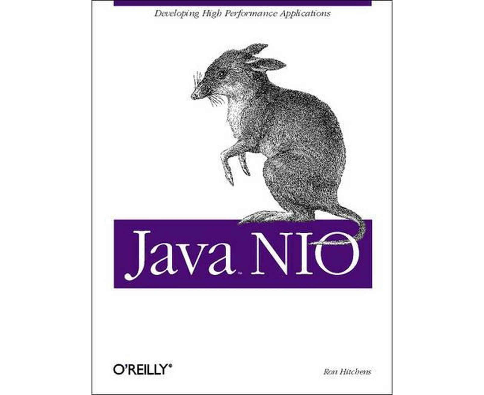 Java NIO