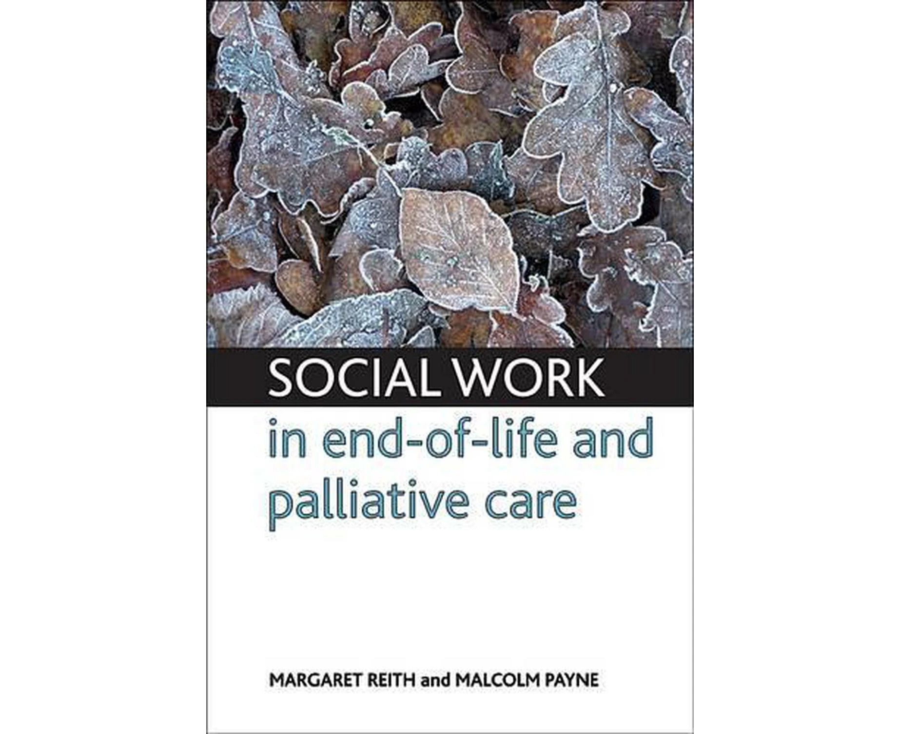 Social work in end-of-life and palliative care